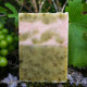 Savon naturel surgras fabriqué artisanalement en France, saponifié à froid à la spiruline Bio de Vendée