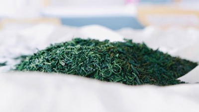 spiruline-paillette-fabrication-france-b