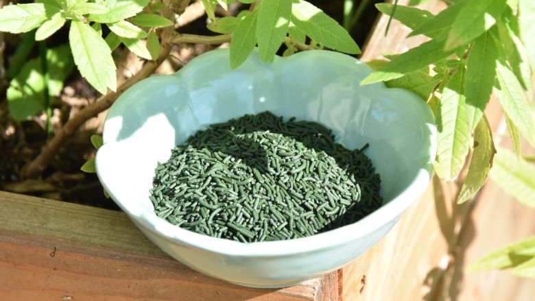 Acheter en ligne notre Spiruline BIO Produite en France artisanale, cultivée récoltée en Vendée.