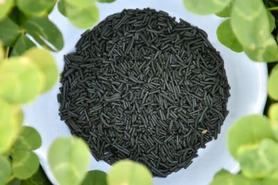Acheter en ligne notre Spiruline BIO Produite en France artisanale, cultivée récoltée en Vendée.